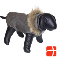 Nobby Dog coat ELNA