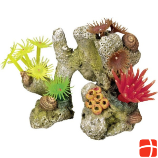 Nobby Aqua Ornaments CORALLE with plants