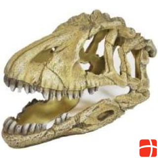 Счастливая голова динозавра