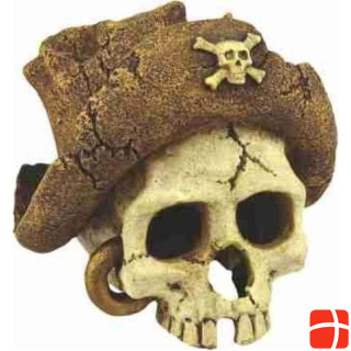 Happet Decoration skull pirate head
