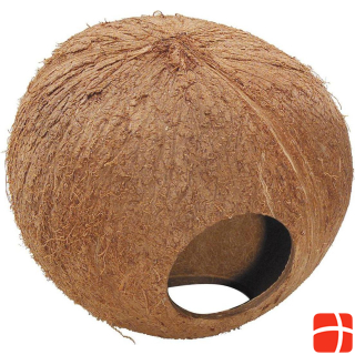 EBI Coconut Globe House