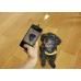 Kikkerland Dog Treat Selfie Clip