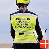 Equisafety Horse In Training Please Slow Down Air Weste