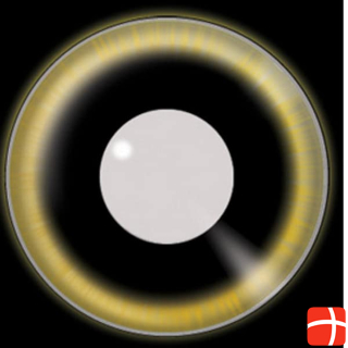 Generisch UV contact lenses eclipse
