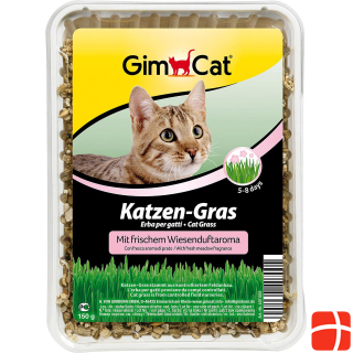 Gimpet Cat grass with meadow scent