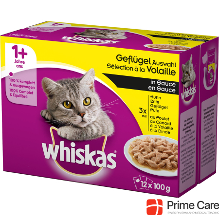 Whiskas 1+ Poultry selection in sauce