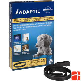 Adaptil Collar dog