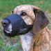 Trixie Adjustable muzzle with mesh insert