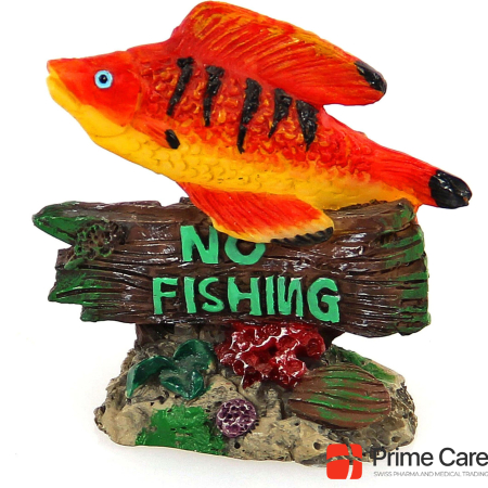 Amazonas Mini Decor Fish - NO FISHING