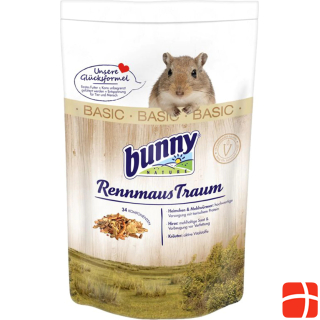 Bunny Racing mouse dream BASIC