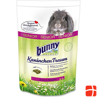 Bunny RabbitDream Senior