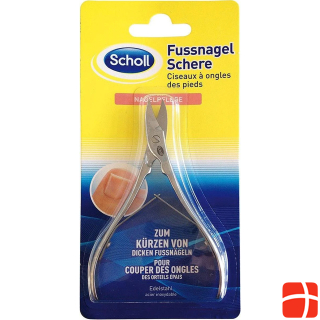 Scholl Excellence