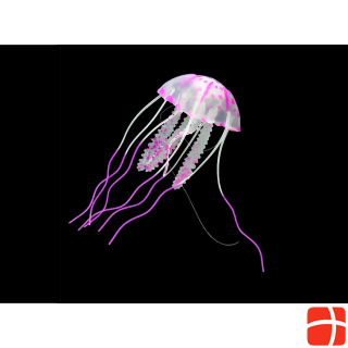 Amazonas Jellyfish