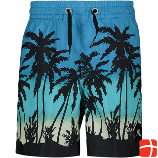 Quiksilver Everyday Paradise 14-дюймовые шорты для плавания для мальчиков