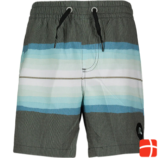 Quiksilver Resin Tint 14 Inch Boys Swim Shorts