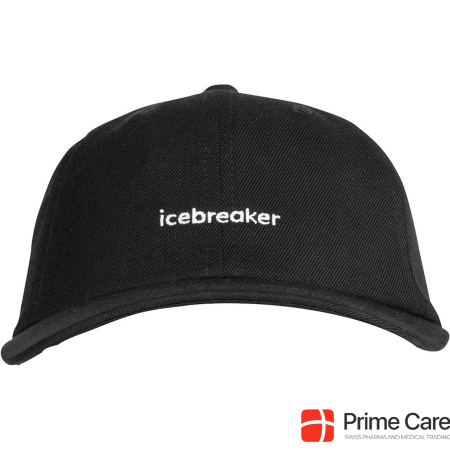 Icebreaker 6 Panel Cap