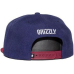 Grizzly Coliseum Snapback