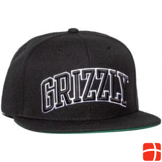 Grizzly Top Team Snapback