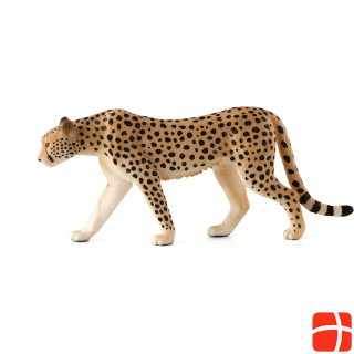 Animal Planet Cheetah
