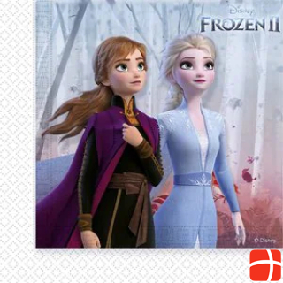 JT Lizenzen Frozen 2 - Die Eiskönigin: Elsa & Anna (20er Set)