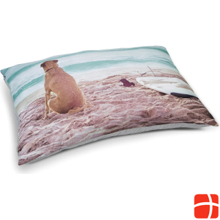 Beeztees Dog cushion Surfy