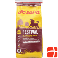 Фестиваль Хосера