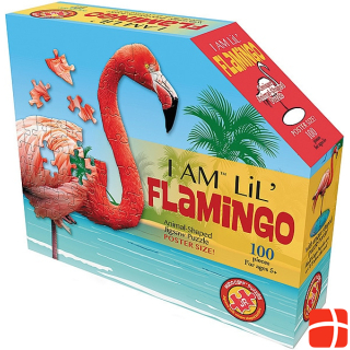 Madd Capp I am Lil' Flamingo