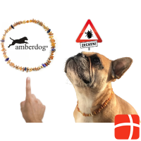 Amberdog Amber necklace
