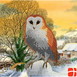 Craft Buddy Winter Owl, 18x18cm Crystal Art Card