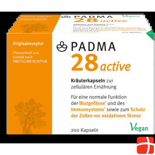 Padma 28 Active