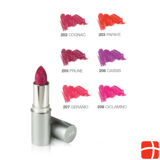 BioNike Defence Color Lipshine
