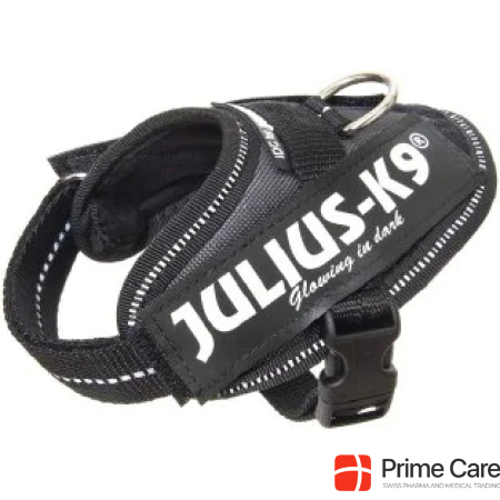 Julius-K9 Dog collar and harness