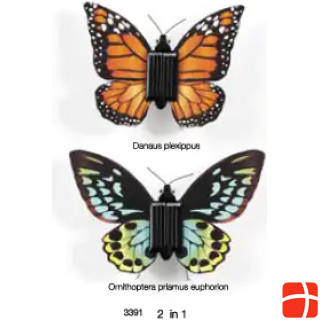 Inpro Solar 2in1 butterfly kit