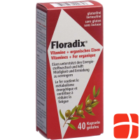 Floradix Eisen