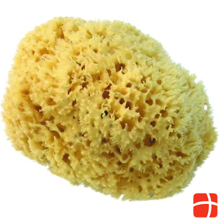 Herba Real natural sponge