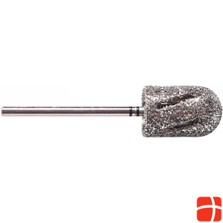 Busch Diamond grinder DT4880 120 DiaTwist, cyl, ru, megagrob rustproof