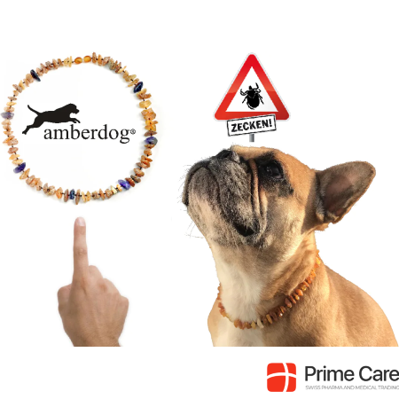 Amberdog Amber chain against ticks