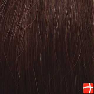 SHE s.r.l. Hair Extensions Clip In Human Hair 6 Light Auburn 50/55 cm, 19 cm