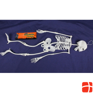 FT skeleton