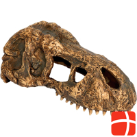 Exo Terra T-Rex Skull
