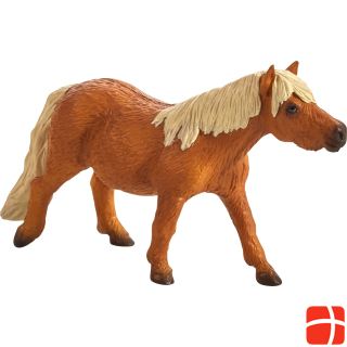 Animal Planet Shetland pony
