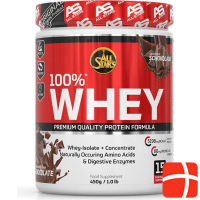 All Stars 100% Whey Protein (450g can)