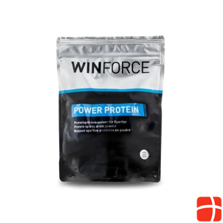 Протеин Win Force Power