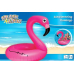 Splash & Fun Flamingo