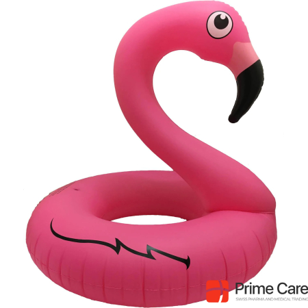 Splash & Fun Flamingo