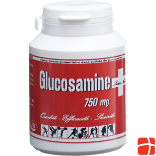 Glucosamin FSN Capsule 750 mg