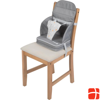 Safety 1st Travel Booster Seat