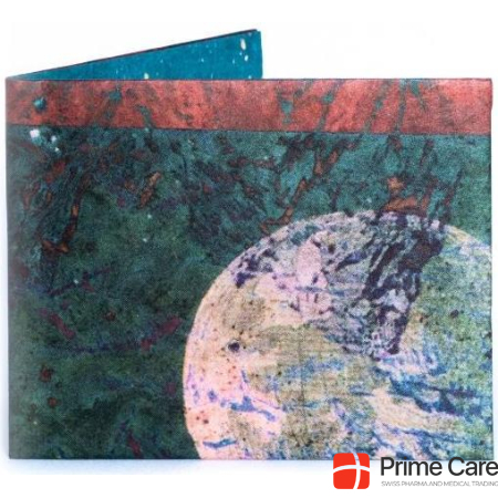 Бумажник Paperwallet Slim Wallet Lunar Path Rfid