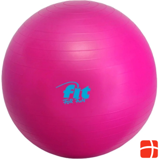 Fit For Fun Fit4Fun exercise ball