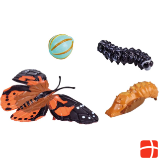Insect Lore Life cycle figures: butterfly